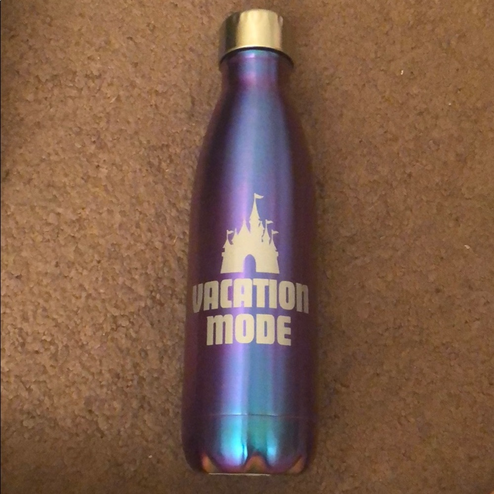 Disneyland park  metal water bottle